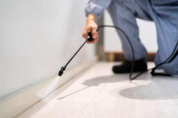 Licensed Termite Control service in Larkspur, CA - Nex Pest Control