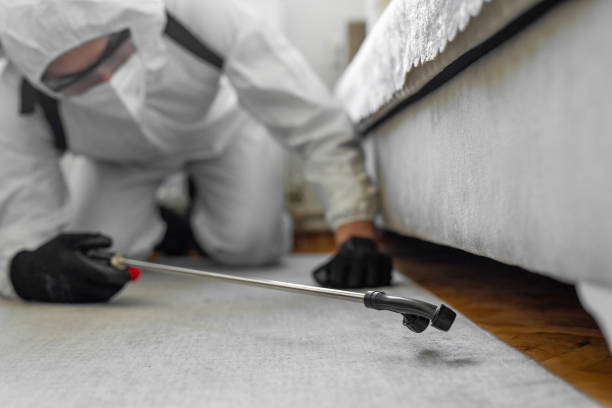 Professional Termite Control technician working in Larkspur, CA