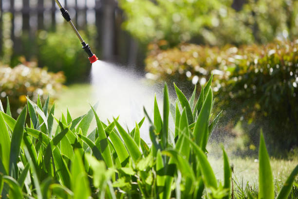 24/7 Emergency Termite Control experts in Larkspur, CA