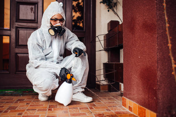 Reliable Termite Control contractor in Larkspur, CA by Nex Pest Control